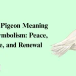 White Pigeon Meaning